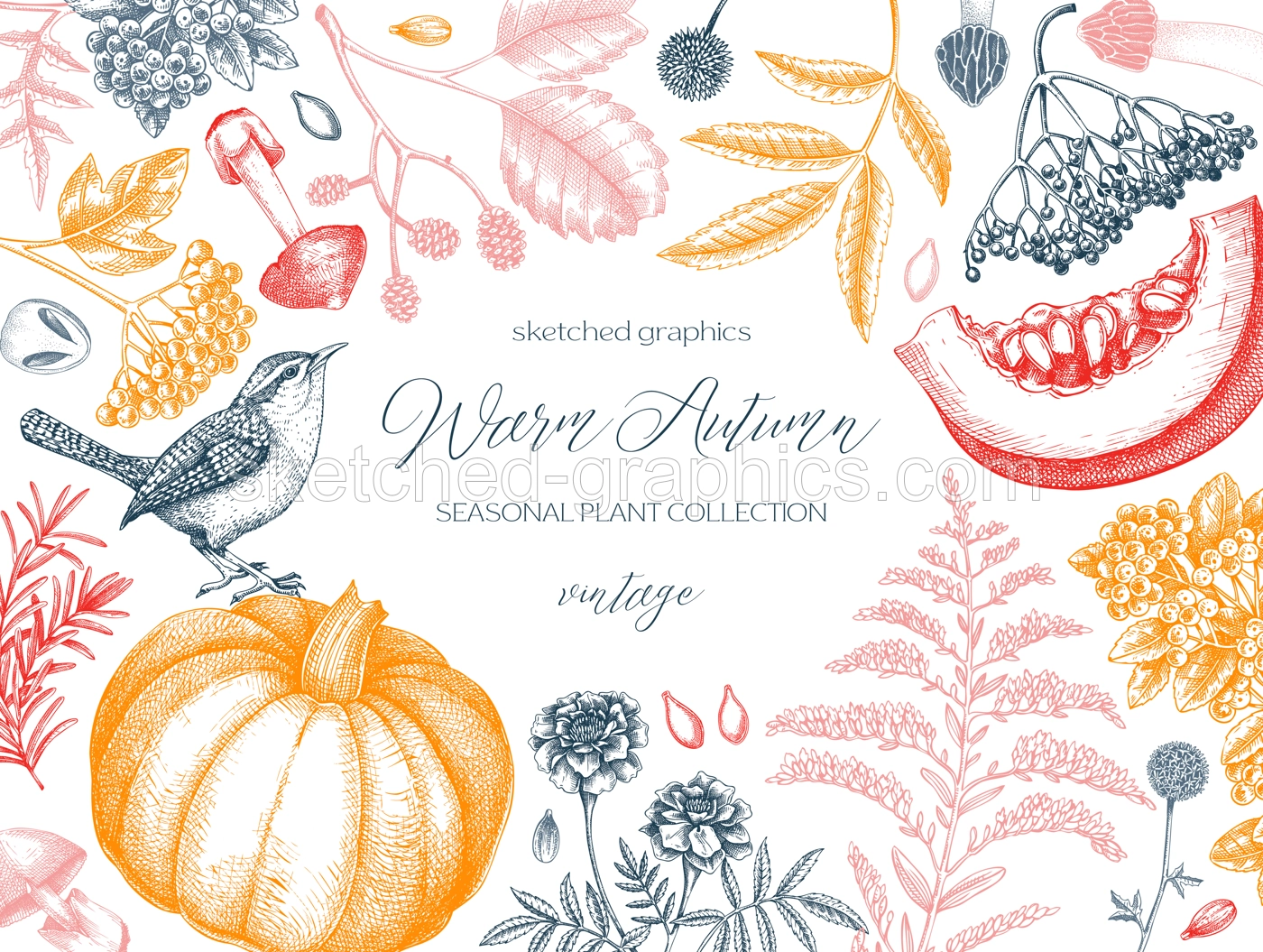 Vintage autumn card design. Thanksgiving background. Fall leaves, pumpkins, berries, mushrooms sketches. Hand-drawn vector illustration. NOT AI generated Illustration